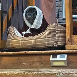 Meet your Posher, Heidi